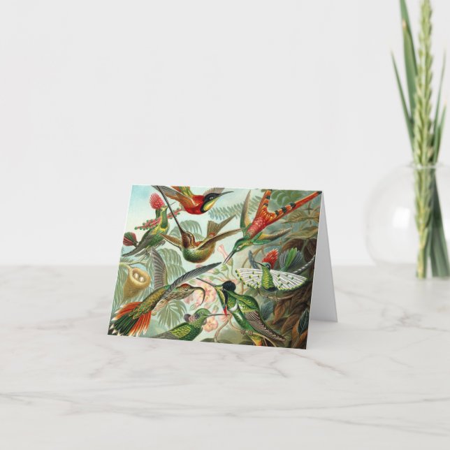 Cartão Hummingbird Note Card (Frente)