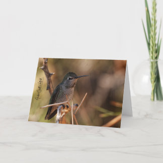 Cartão Hummingbird Note Card