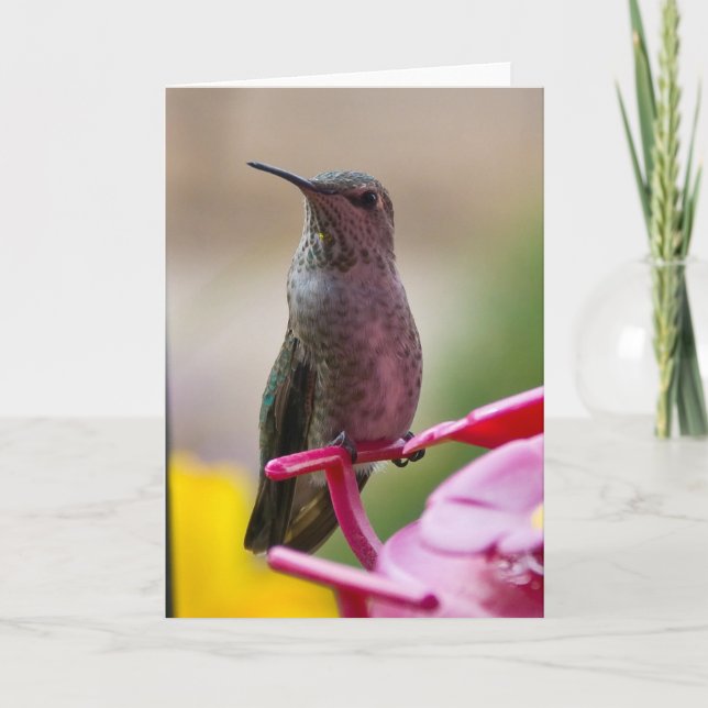 Cartão Hummingbird Note Card (Frente)