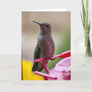 Cartão Hummingbird Note Card