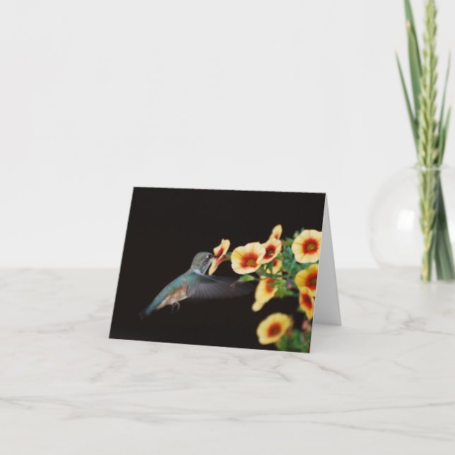 Cartão Hummingbird Note Card (blank) (Frente)