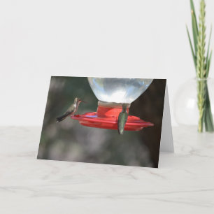 Cartão Hummingbird Notecard