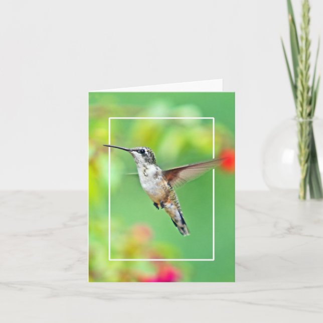 Cartão Hummingbird Photograph (Frente)