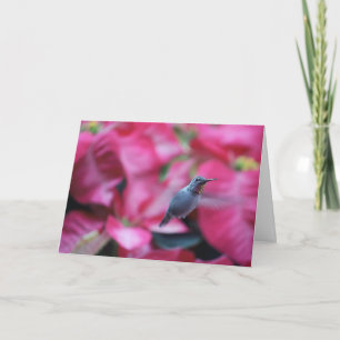 Cartão Hummingbird with poinsettia background