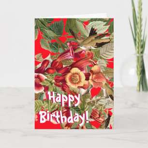 Cartão Hummingbirds Audubon Flowers Floral Birthday Card