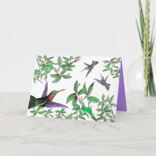 Cartão Hummingbirds Blank Note Card