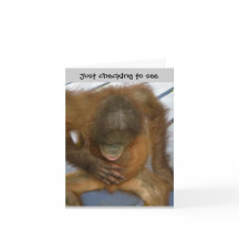 Humor da cirurgia da vasectomia