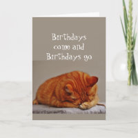 Humor de Aniversário Além da Colina Gato Desgostos