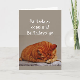 Cartão Humor de Aniversário Além da Colina Gato Desgostos