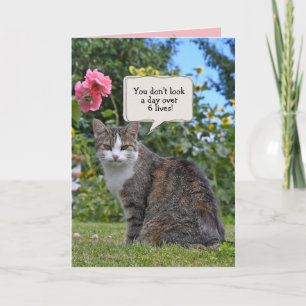 Cartão humor de aniversário de gato