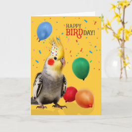 Cartão Humor de Aniversário de Papagaio Cacatua Engraçado