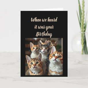 Cartão Humor de Aniversário de Todos Nós Gatos Fofos