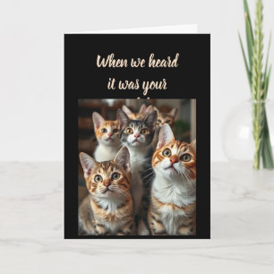 Cartão Humor de Aniversário de todos nós Gatos Gatos