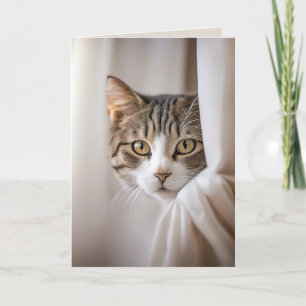 Cartão Humor de Aniversário do Gato na Cortina