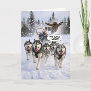 Cartão Humor de Aniversário Huskies Puxando um Trenó