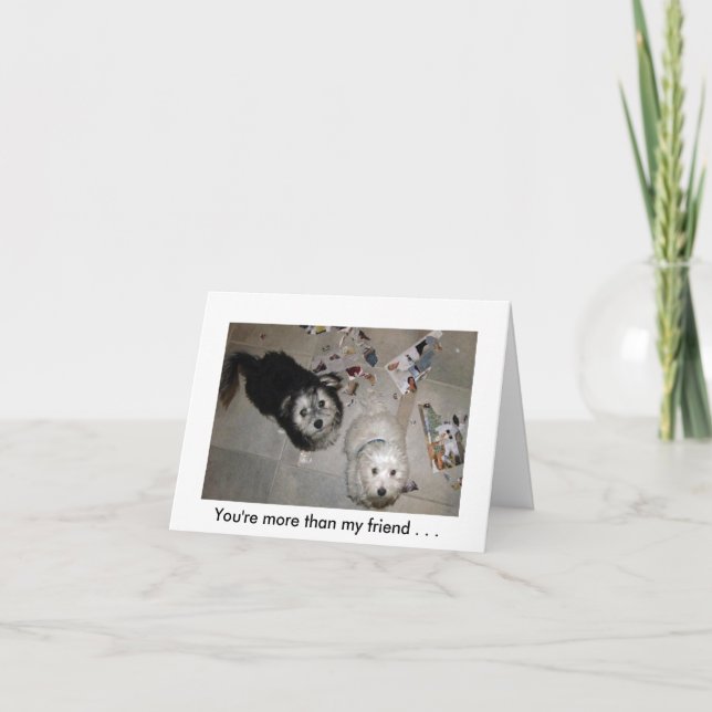 Cartão Humor de cachorrinho de amizade (Frente)