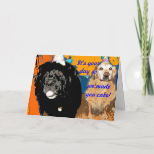 Cartão Humor de Cachorro de Aniversário