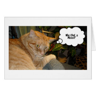 Cartão Humor de Gato e Rato