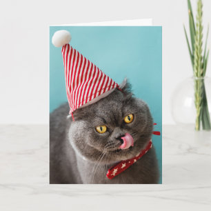 Cartão Humor de Natal de Gato