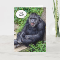 Humor de Vasectomia com Chimpanzé