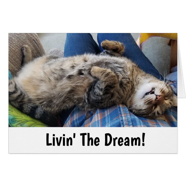 Cartão Humor do gato de gato malhado do sono (Frente Horizontal)