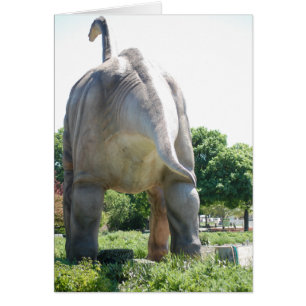 Cartão Humor/Engraçado