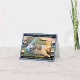 Cartão Humor, engraçado e bobo