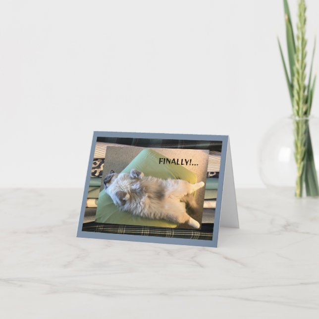 Cartão Humor, engraçado e bobo (Frente)