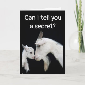 CARTÃO HUMOROUS "BELATED" BIRTHDAY NO BUTTS ABOUT IT! CAR