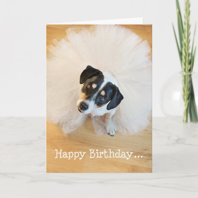 Cartão Humorous Birthday Card - Dog Wearing Tutu (Frente)