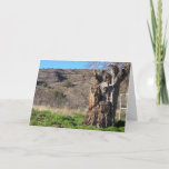 Cartão Humorous birthday card for an "old" friend!<br><div class="desc">This is a picture of a half dead tree I spotted on a roadtrip to Big Bend National Park.</div>