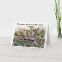 Humorous Duck Texting Greeting Card
