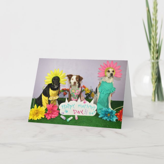Cartão Humorous Mother's day card using dogs in costumes. (Frente)