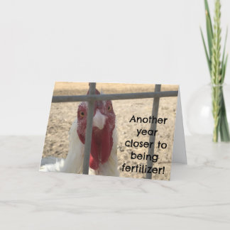 Cartão Humorous Old Adult Birthday