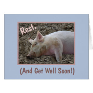 CARTÃO HUMOROUS SAIBA BEM DO PIG GRUPO/DORMINDO