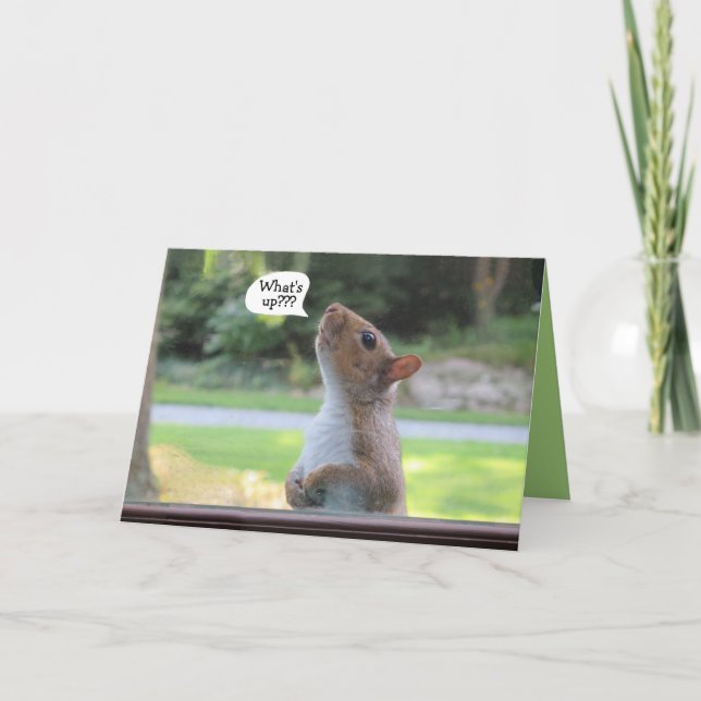 Cartão Humorous squirrel birthday occasion greeting card (Frente)