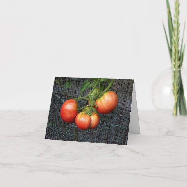 Cartão Humorous therapy tomato garden  greeting card (Frente)