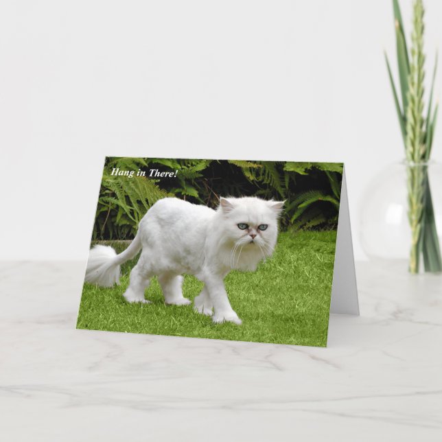 Cartão Humorous White Persian Shaved Cat Birthday Card (Frente)
