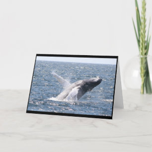 Cartão Humpback Whale I