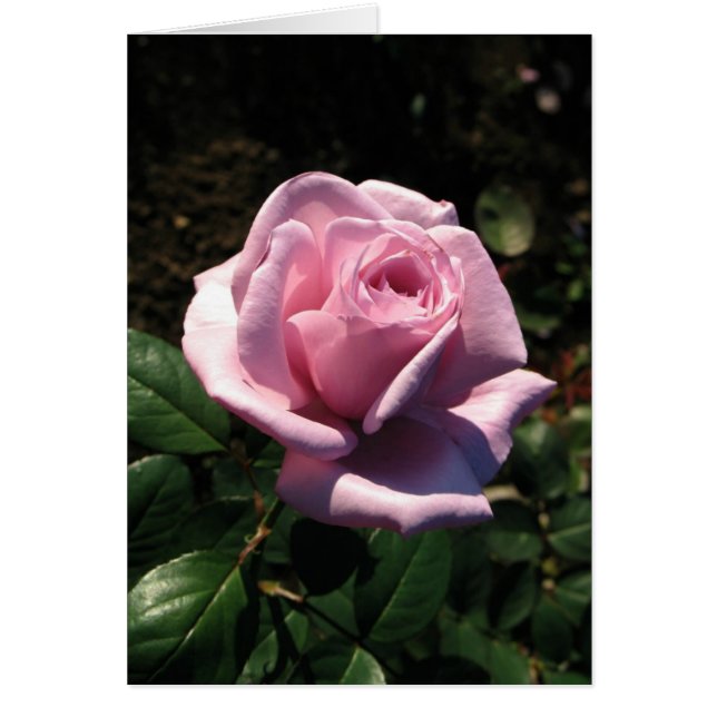 Cartão Húngaro-Bolcão születésnapot (Frente)