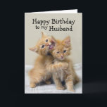 Cartão Husband Happy Birthday Orange Kittens<br><div class="desc">An orange kitten kisses and hugs another kitten.  This adorable pair of hugging orange kittens creates a charming greeting for a birthday card for a loved one. You can personalize this for another occasion or relationship such as "Happy Anniversary" and girlfriend,  wife or boyfriend.</div>