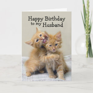 Cartão Husband Happy Birthday Orange Kittens