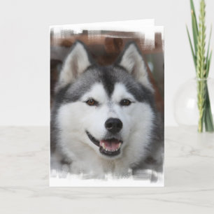Cartão Husky Dog Greeting Card