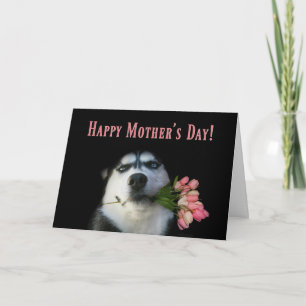 Cartão Husky Siberiano e Tulipas Feliz Dia das Mães