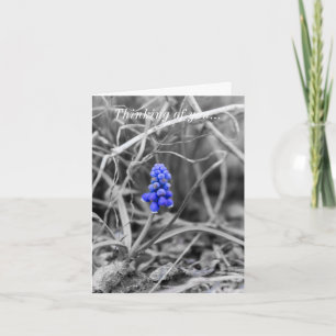 Cartão Hyacinth de Forma de solitário Selecionar Pensame