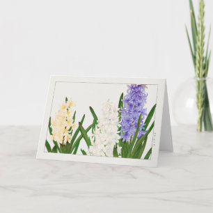 Cartão Hyacinth por Tanigami Konan