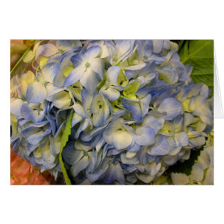 Cartão Hydrangea