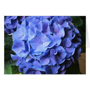Cartão Hydrangea