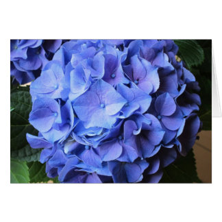 Cartão Hydrangea