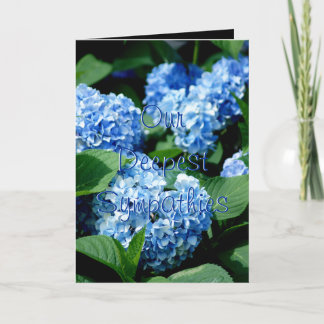 Cartão Hydrangea 2480 Sympathy - change to any occasion